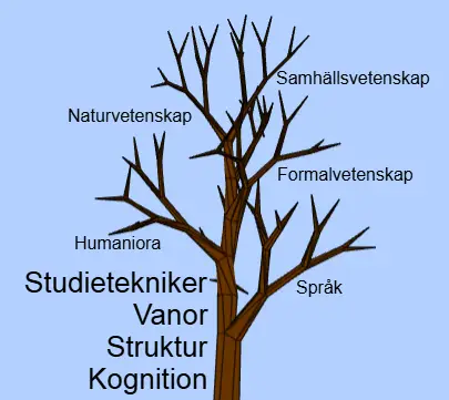 Grafisk bild på träd där stam representerar studietekniker och dylikt i stammen och grenar olika discipliner